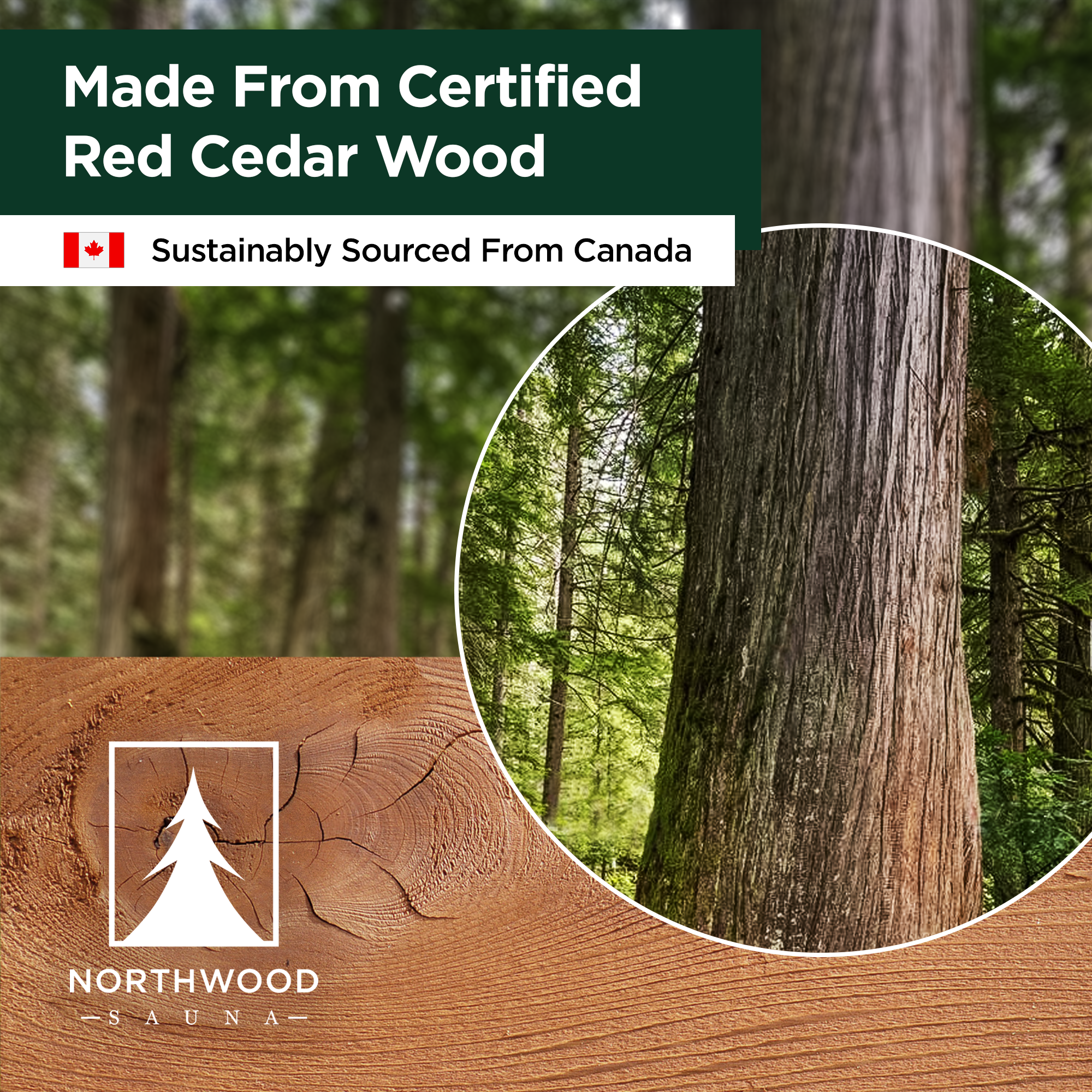 VIM_2406789251127_2171663810615_2171960819767_2172790997047_2171953184823_2171965767735